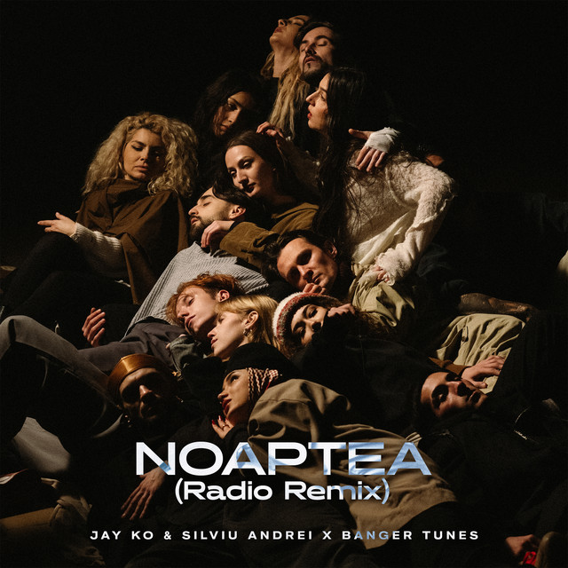 Noaptea - Radio Remix