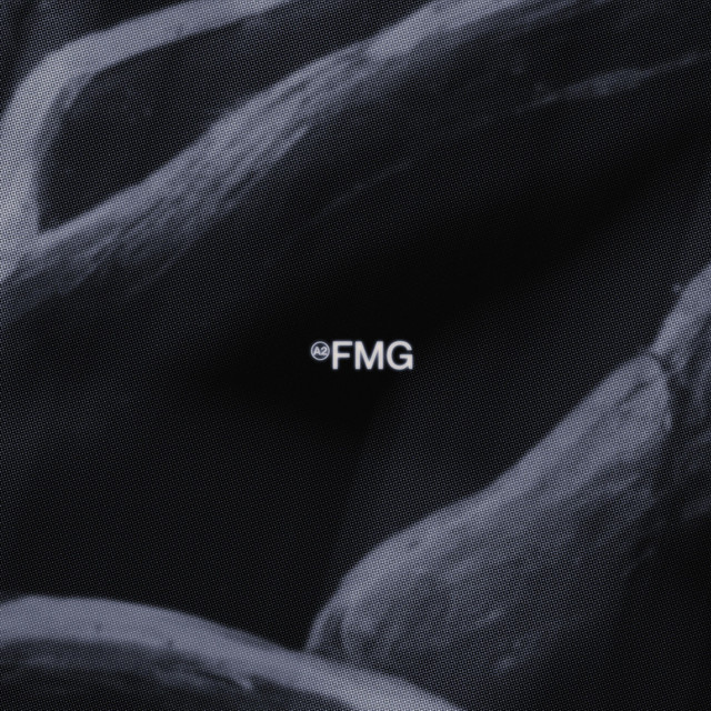 FMG cover art