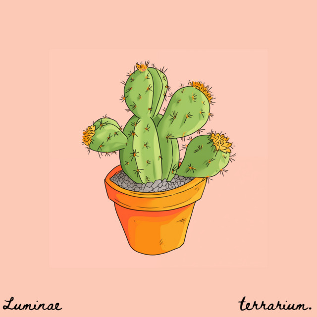 succulent