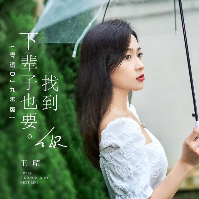 下辈子也要找到你 (粤语DJ九零版)