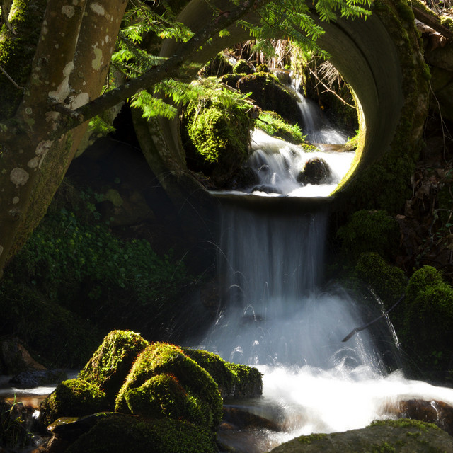 Wellness and Inner Peace Music | Peaceful Music with Wind Noises cover art