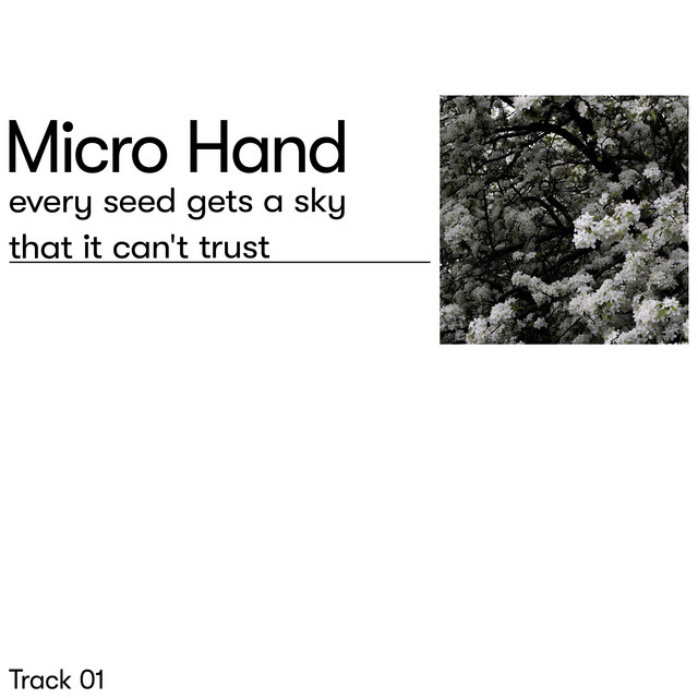 Cover art for every seed gets a sky that it cant trust