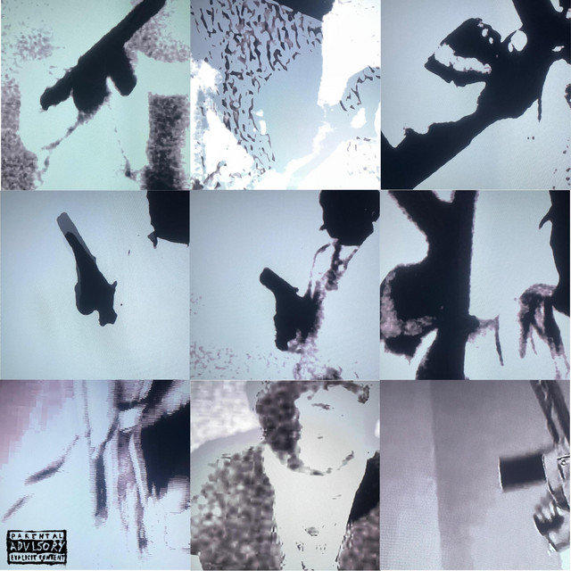 Schizophrenia cover art