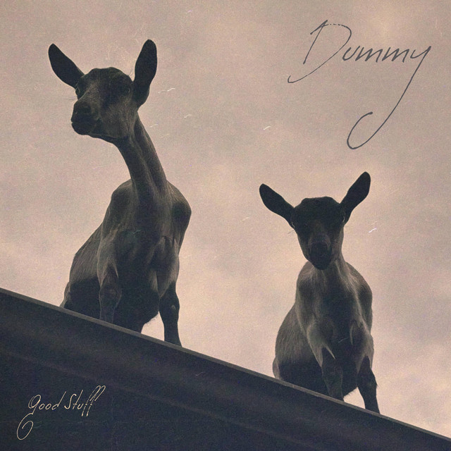 Dummy cover art