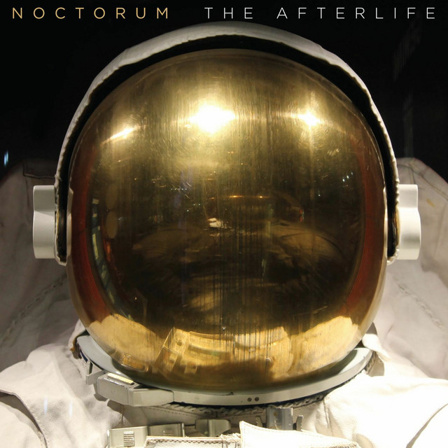 The Afterlife cover