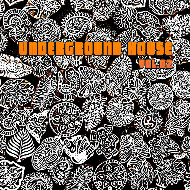 Underground House Vol.02 cover art