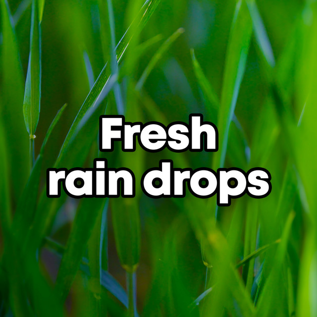 Fresh Rain Drops cover art