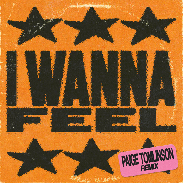 I Wanna Feel - Paige Tomlinson Extended Remix album art