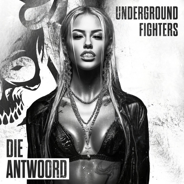 Die Antwoord