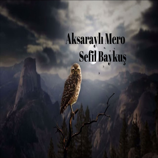 Sefil Baykuş cover art