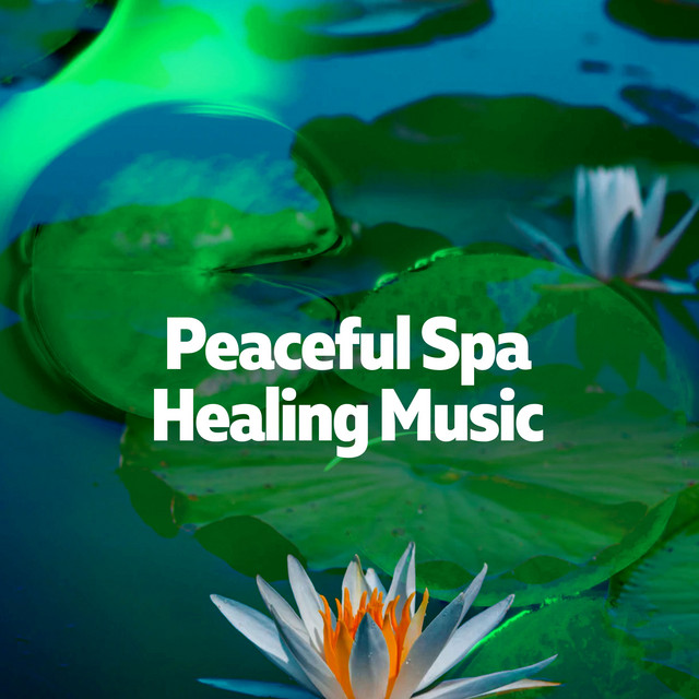 No Anxiety - song and lyrics by Relaxing Spa Music | Spotify