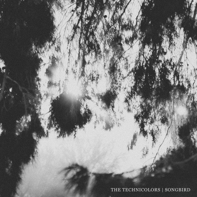 Cover of Songbird by The Technicolors