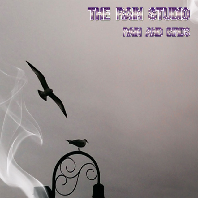 Rain and Birds cover art