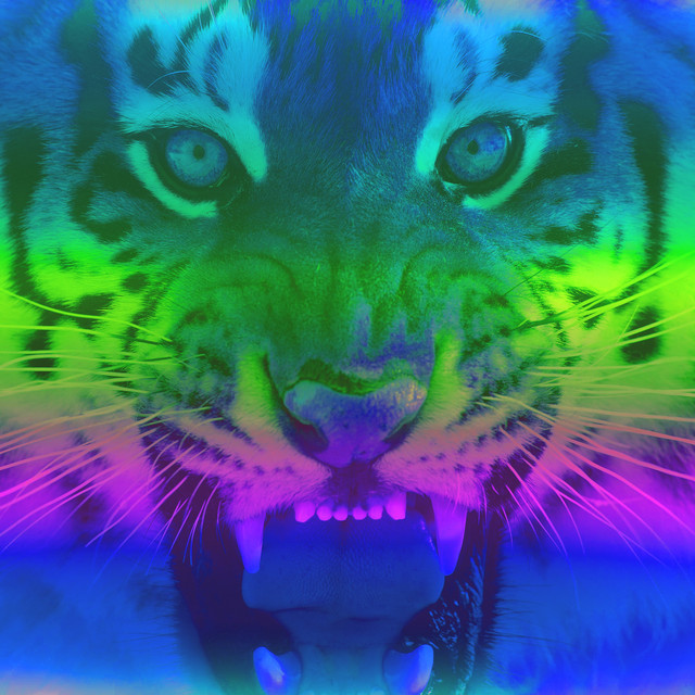 Predator cover art