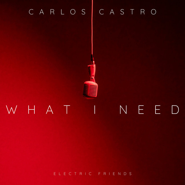 What I Need cover art