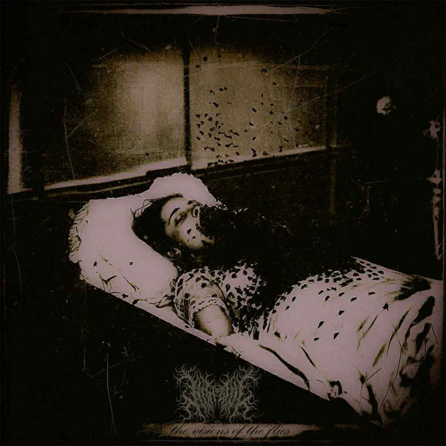 The Visions of the Flies cover art