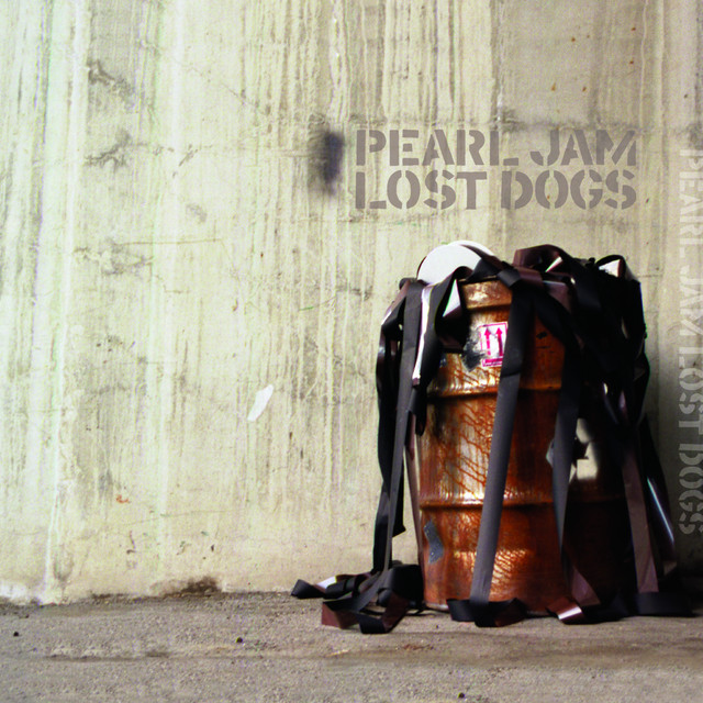 Lost Dogs – Compilação de Pearl Jam | Spotify