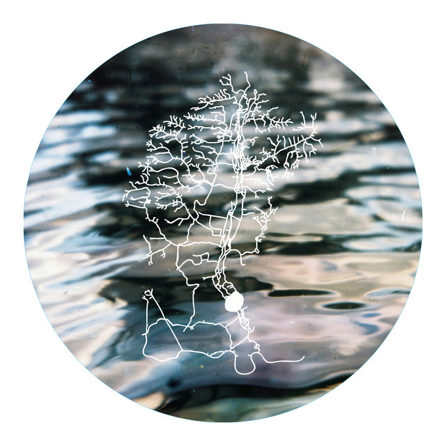 Surface Tension cover