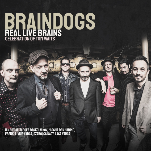 Braindogs