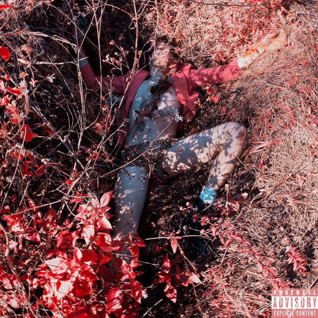 Send Flowers cover art
