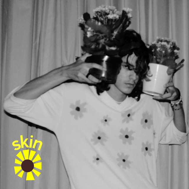 Skin cover art