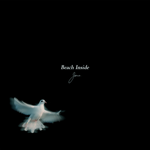 Beach Inside cover art