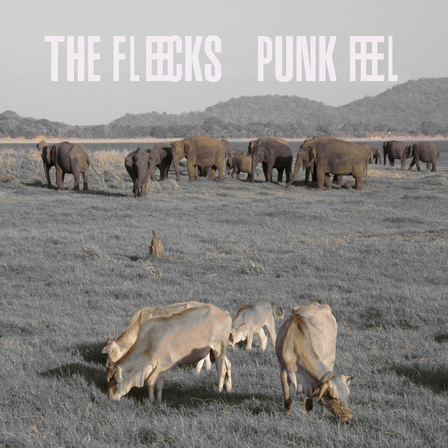 Punk Feel - Album by The Fleecks | Spotify