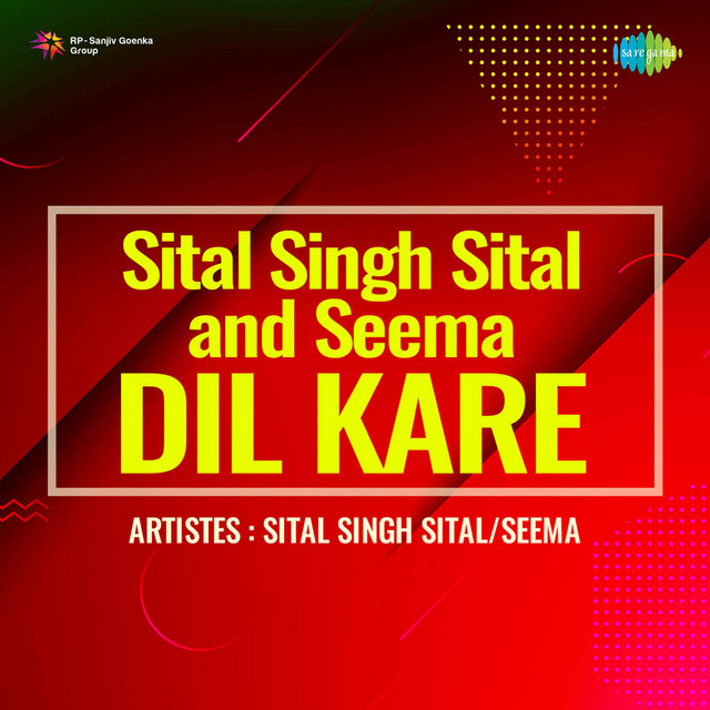 Main Checker Satlaj Company Da cover art