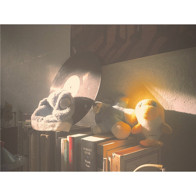 Geceleyin cover art