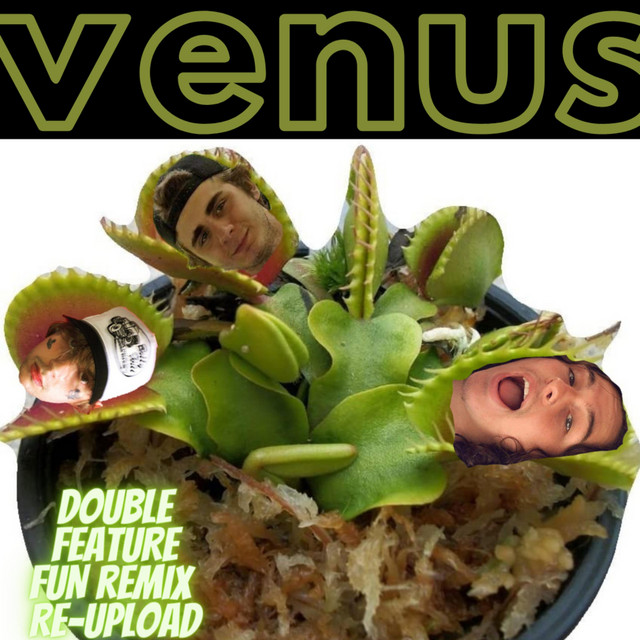 Venus (Double Feature Fun Remix Re-Upload) cover art