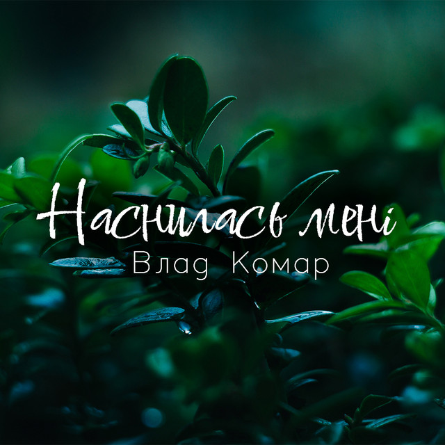 Обкладинка: Наснилась мені — Влад Комар
