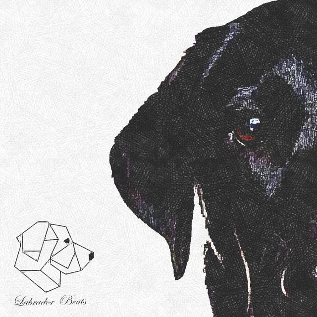 Wolfshead cover art