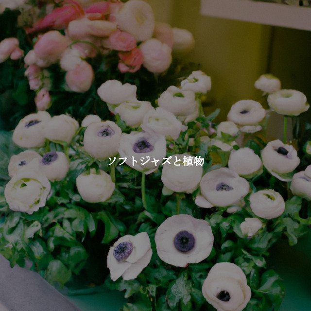 ソフトジャズと植物 cover art