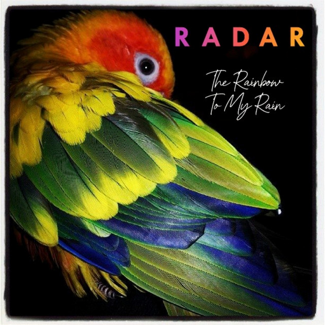 Learning to fly song and lyrics by radar nz spotify