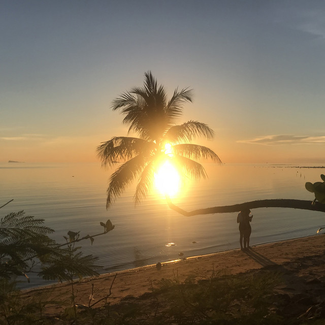 My Type (The Island)