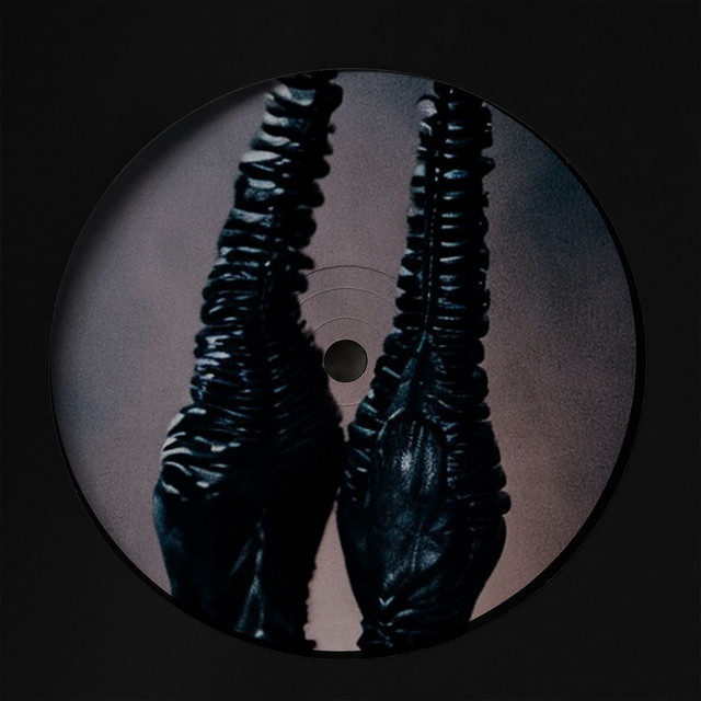 Shadows cover art