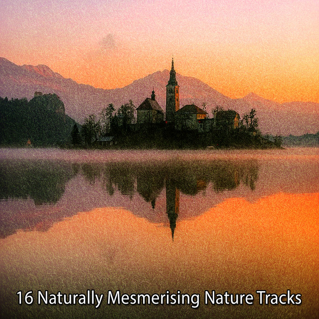 16 Naturally Mesmerising Nature Tracks - Album by Nature Sounds Nature ...
