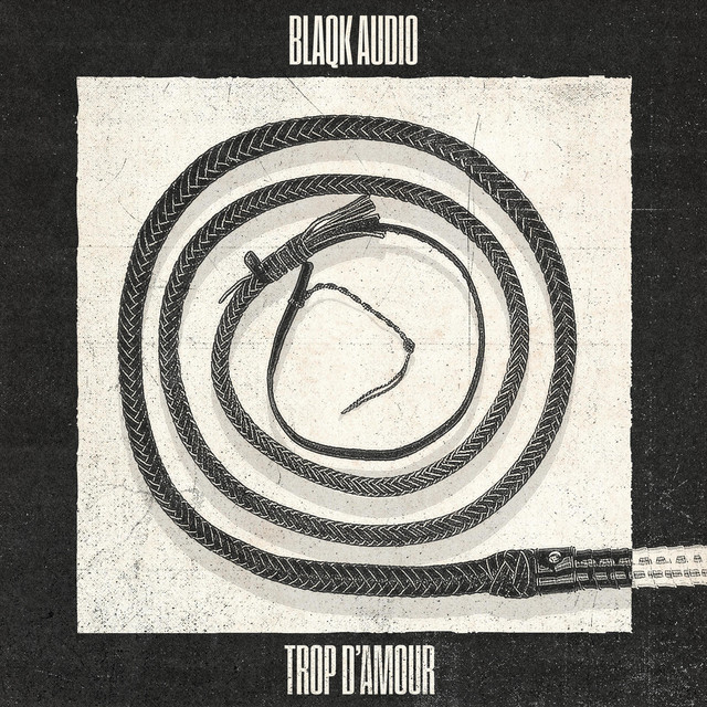 Trop d'amour cover art