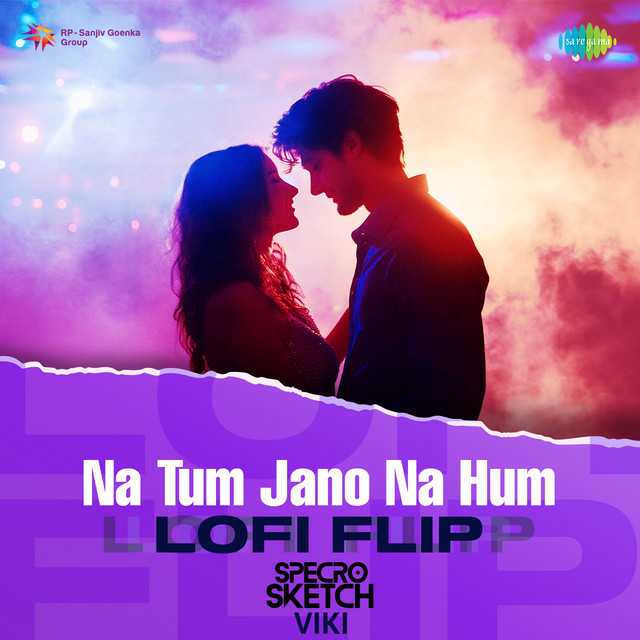 Na Tum Jano Na Hum - LoFi Flip album image
