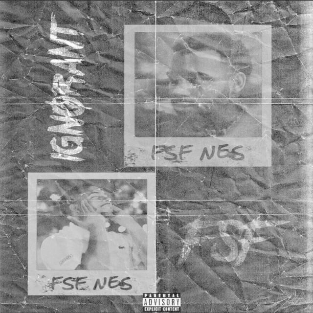 Ignorant cover art