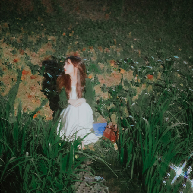신채현