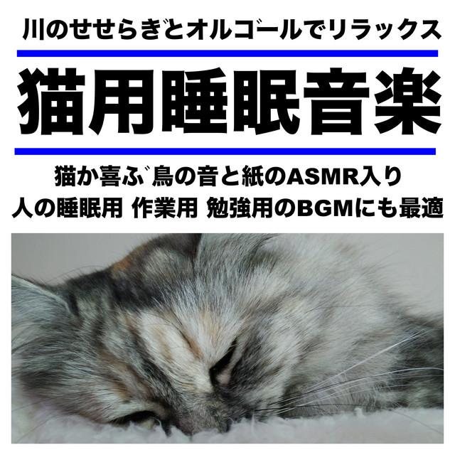 川のせせらぎとオルゴールでリラックス 猫用睡眠音楽 猫が喜ぶ 鳥の音