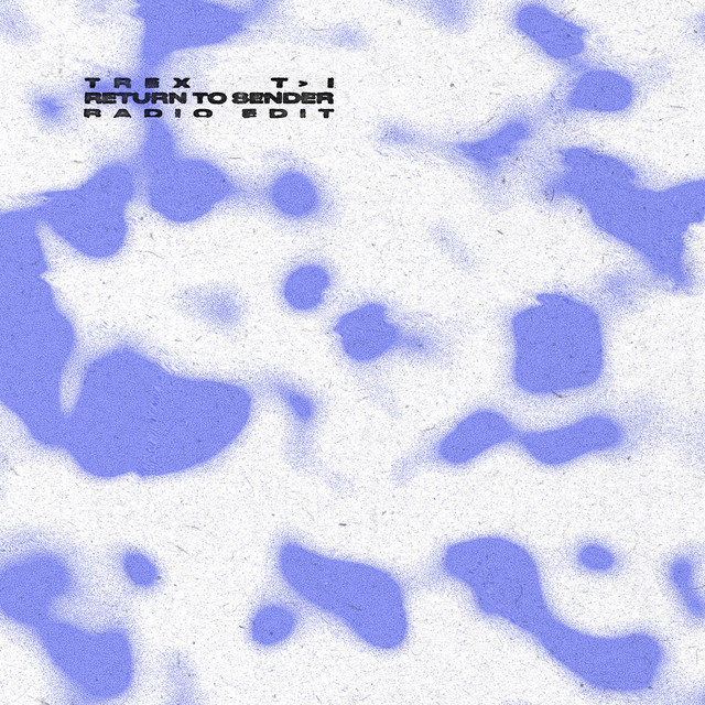 Return To Sender - Radio Edit artwork