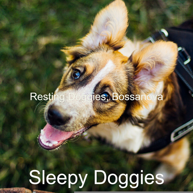 Resting Doggies, Bossanova cover art