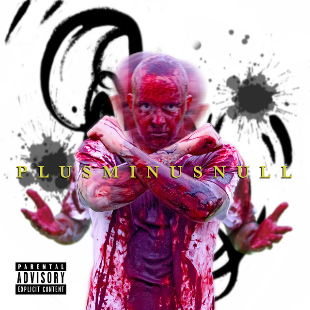 Plus Minus Null cover art