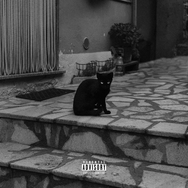 LIMITE cover art