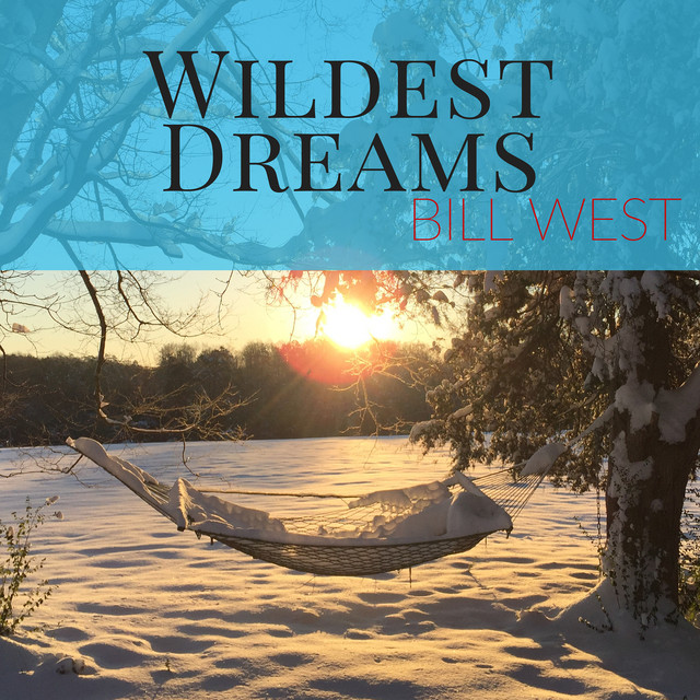 Wildest Dreams cover