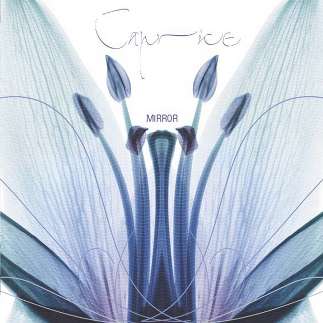 Mirror cover art