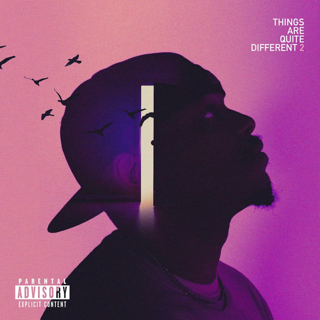Things Are Quite Different 2 cover art