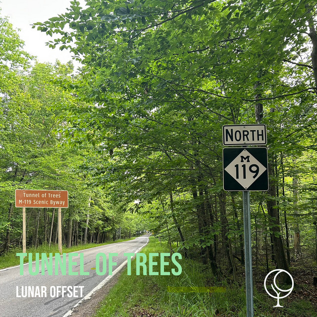 Tunnel of Trees cover art